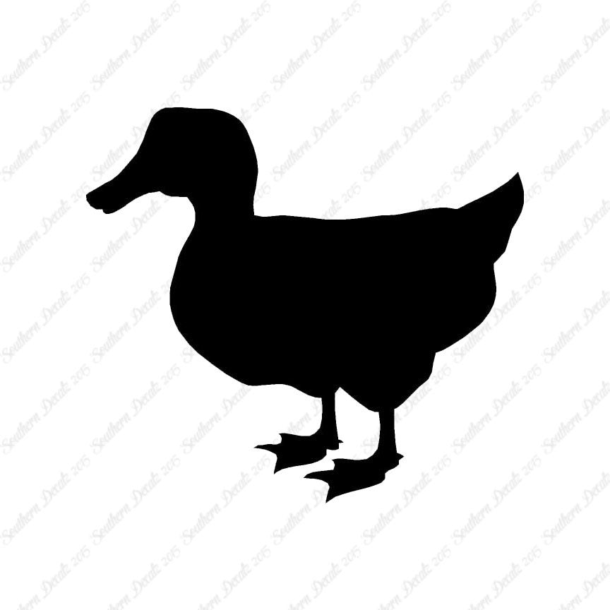 Duck Mallard