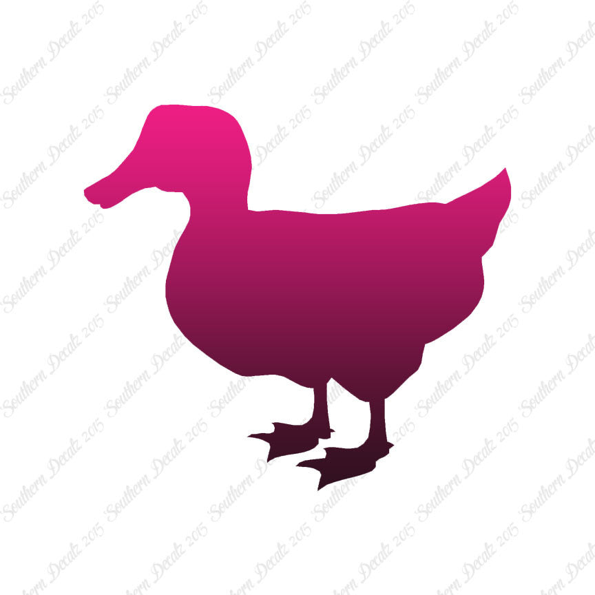 Duck Mallard