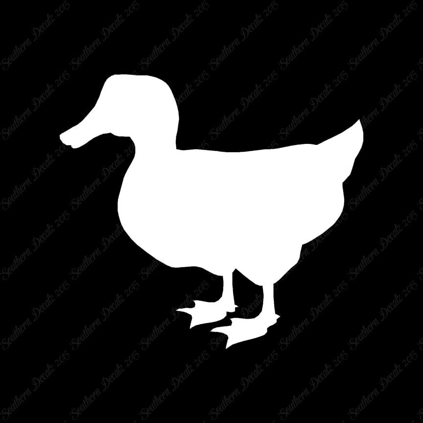 Duck Mallard