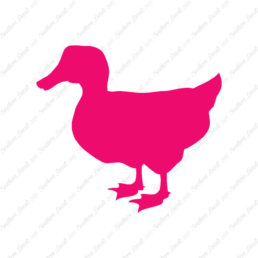 Duck Mallard
