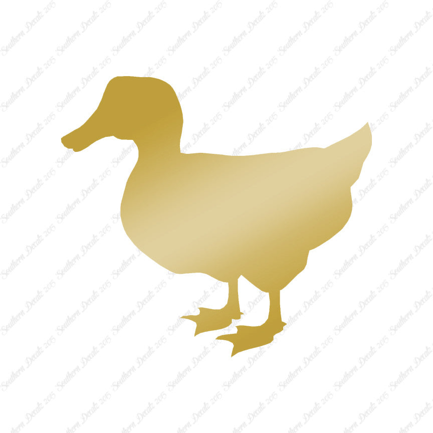 Duck Mallard