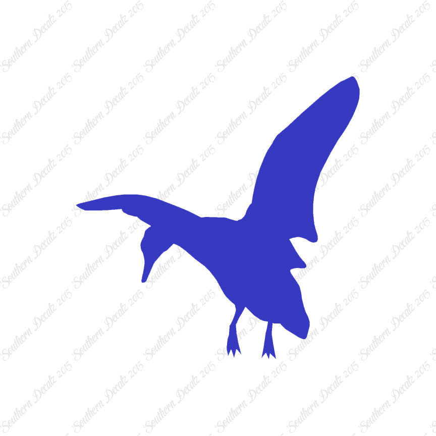 Duck Mallard Flying