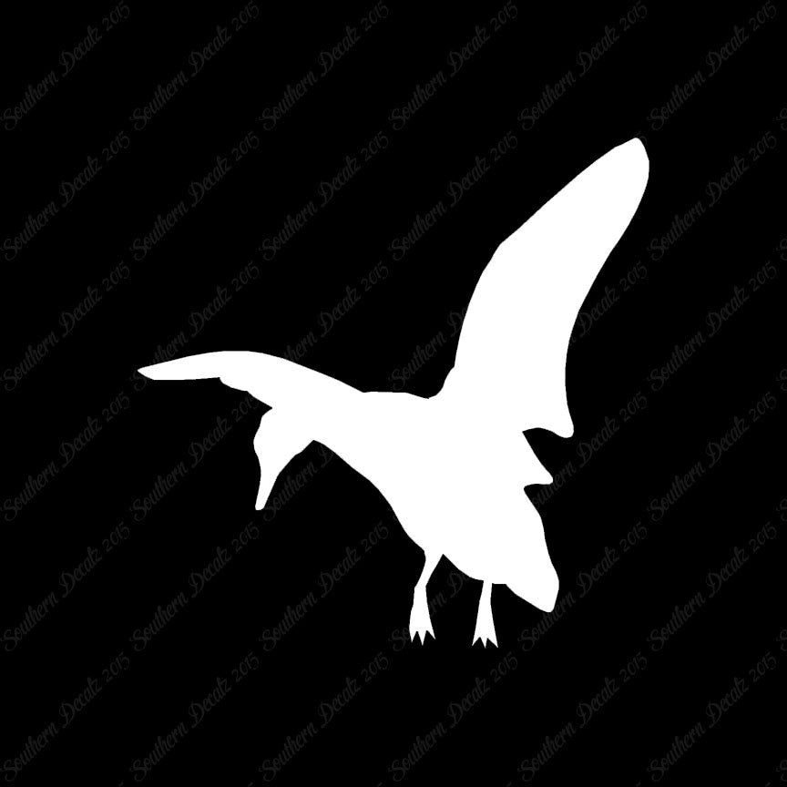 Duck Mallard Flying