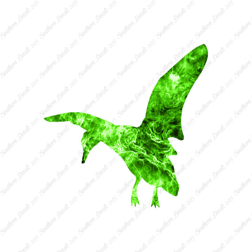Duck Mallard Flying
