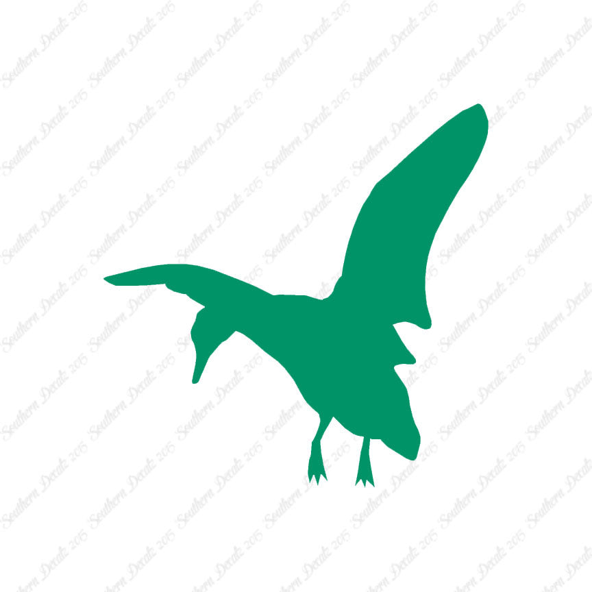 Duck Mallard Flying