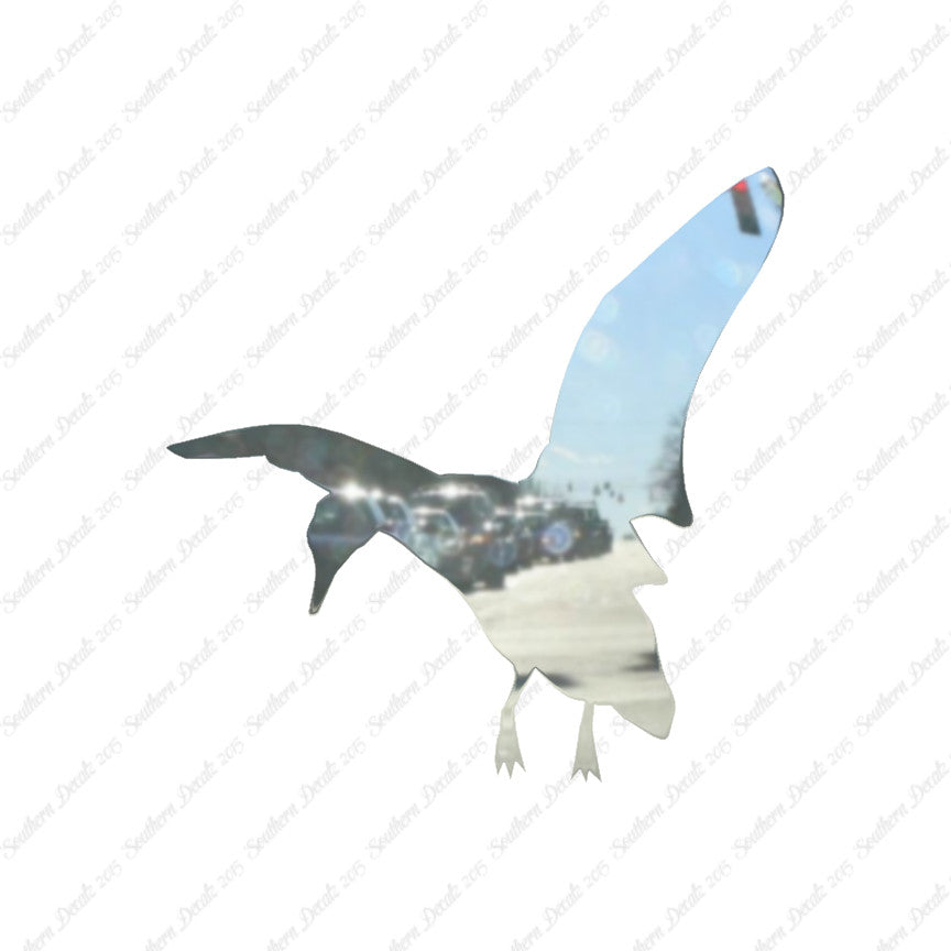 Duck Mallard Flying