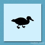 Mallard Duck