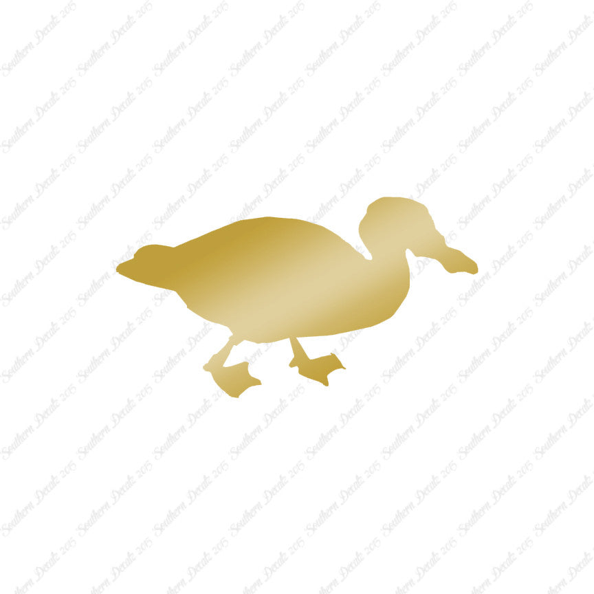 Mallard Duck