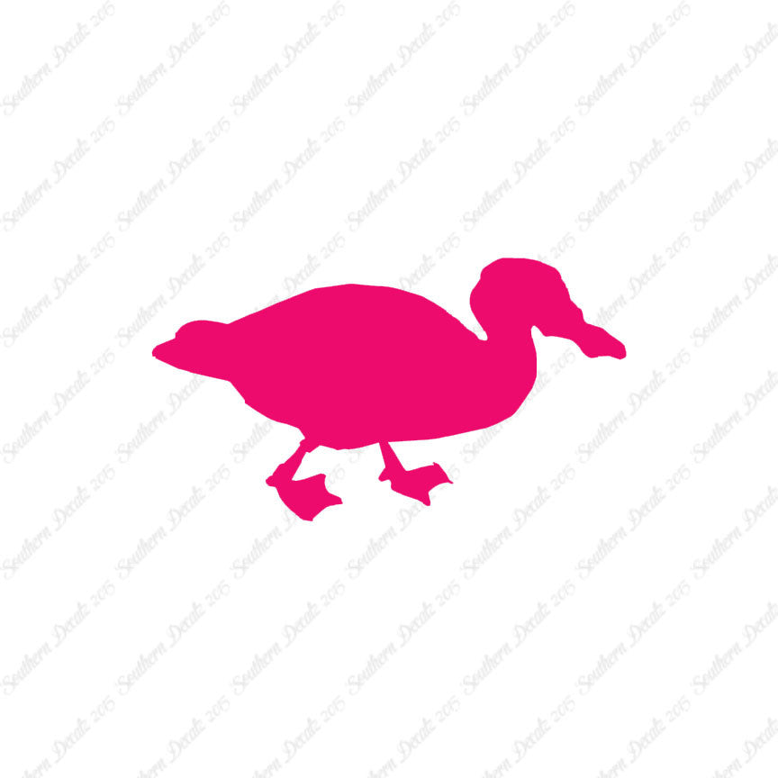 Mallard Duck