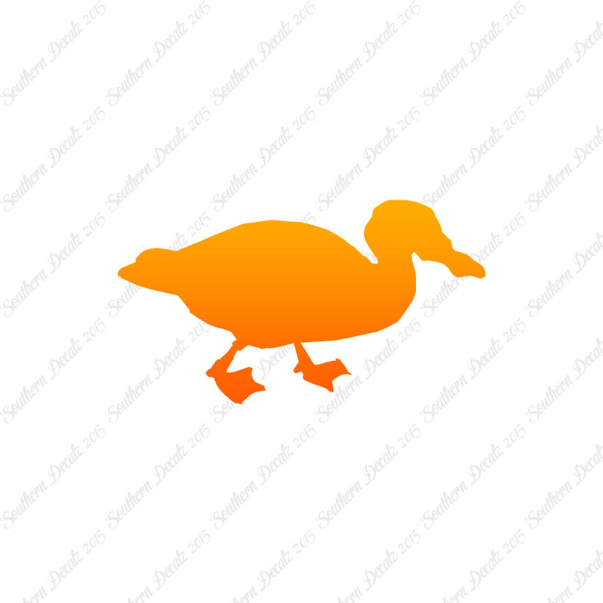 Mallard Duck
