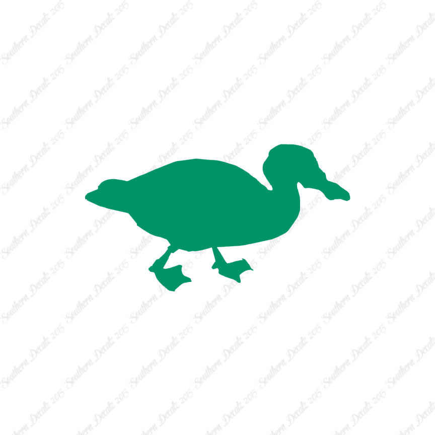 Mallard Duck