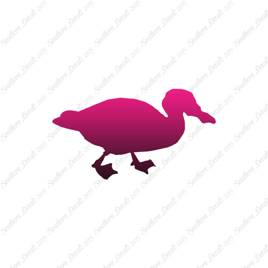 Mallard Duck