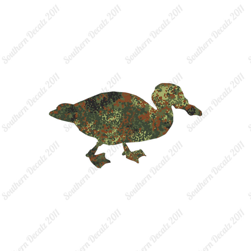 Mallard Duck