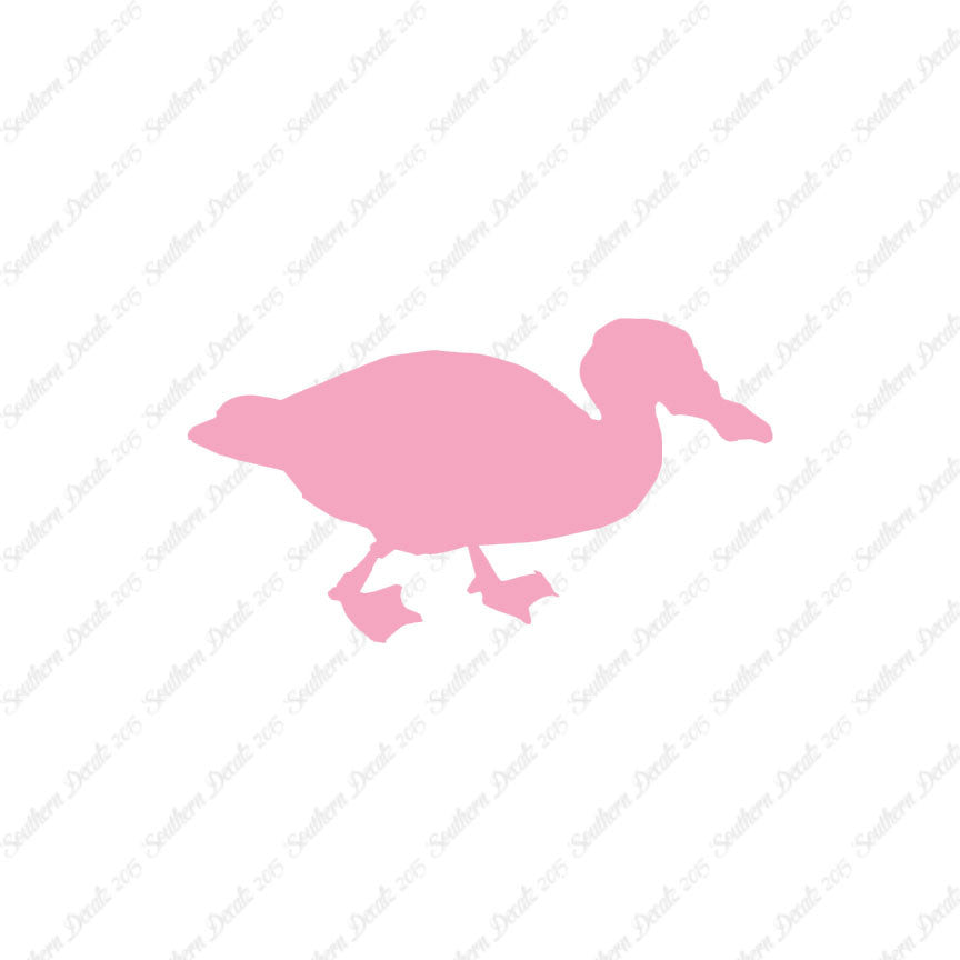 Mallard Duck