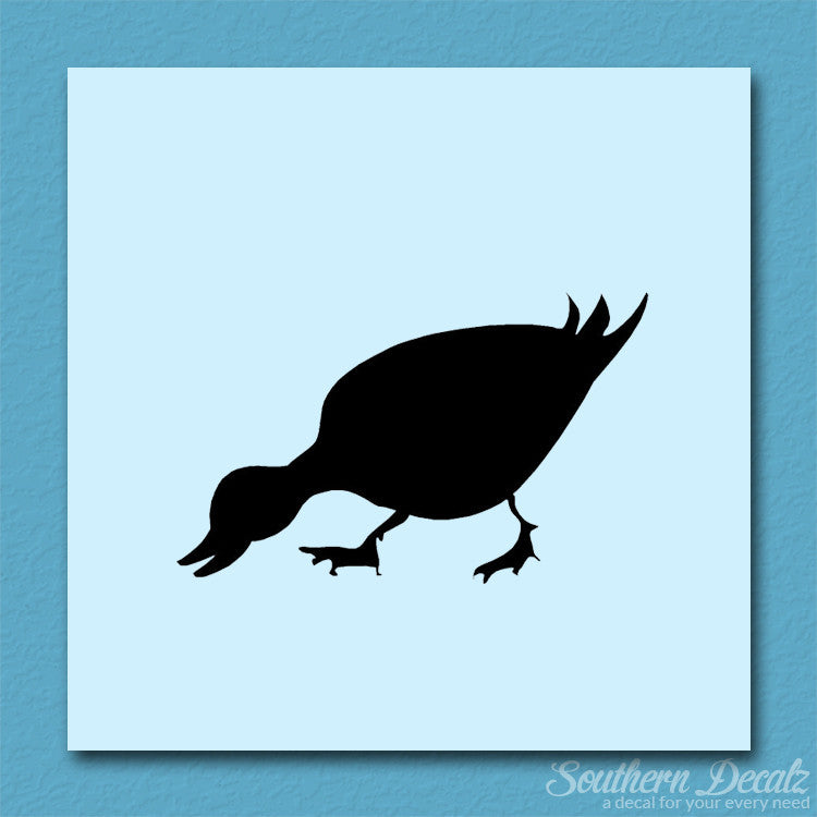 Duck Mallard Waterfowl