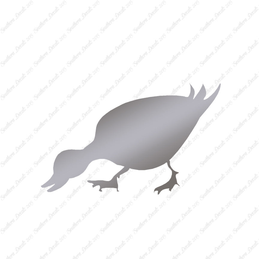 Duck Mallard Waterfowl
