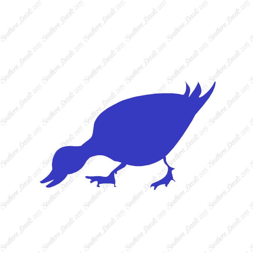 Duck Mallard Waterfowl