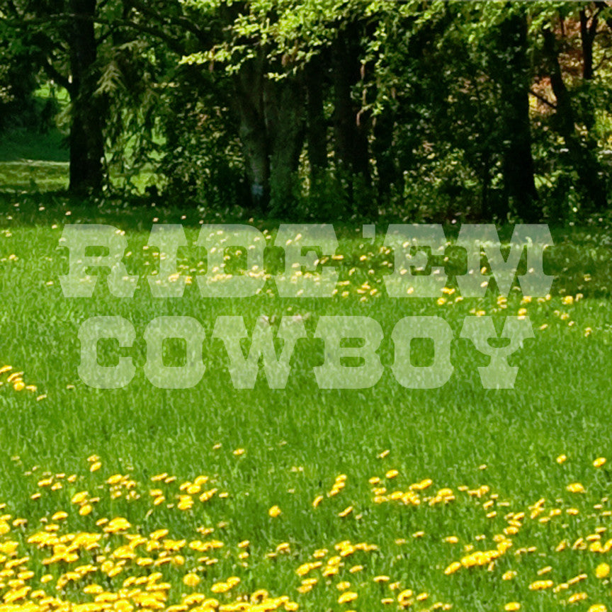 Ride Em Cowboy