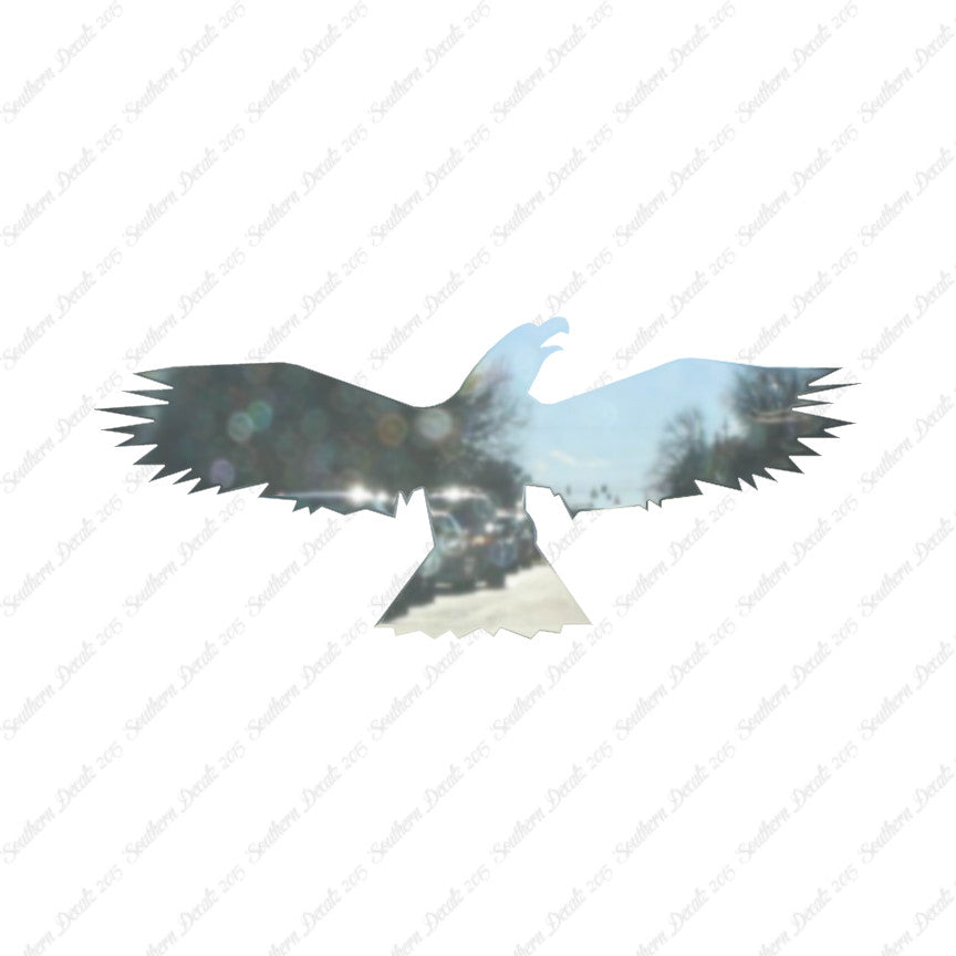 Bird Crow Eagle