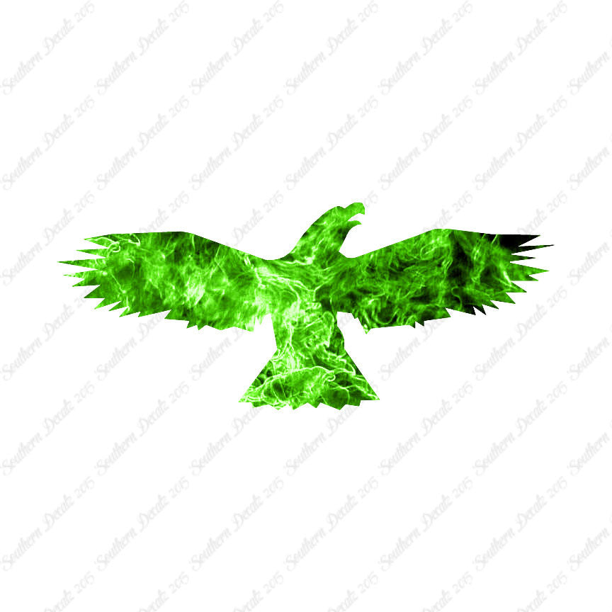 Bird Crow Eagle