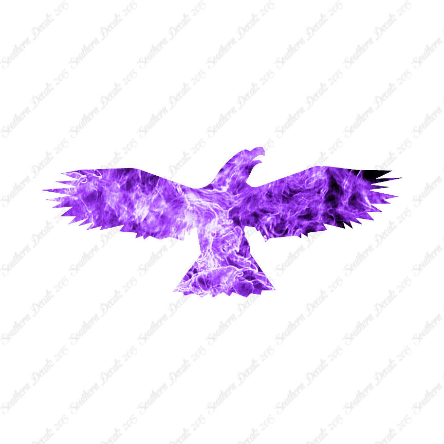 Bird Crow Eagle