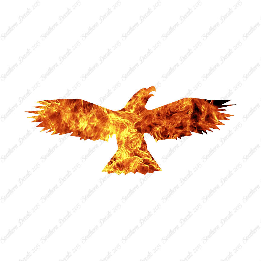 Bird Crow Eagle