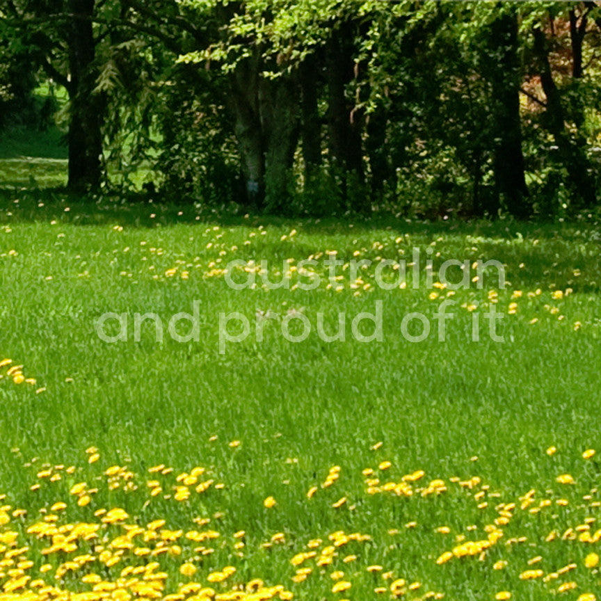 Australian Proud Of It