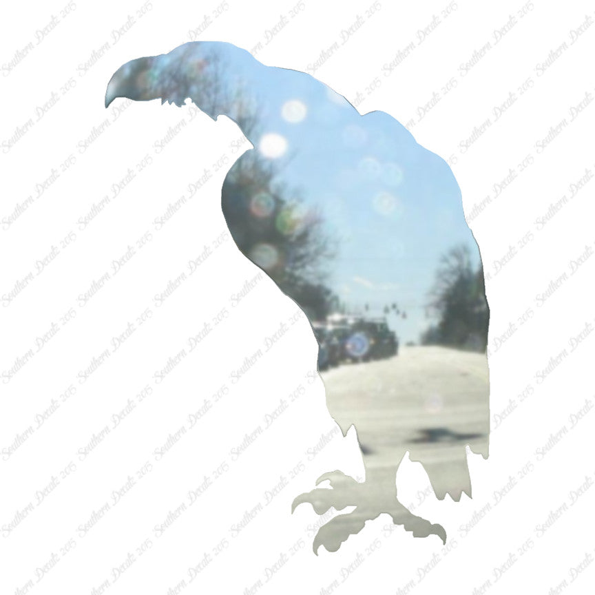 Vulture Eagle