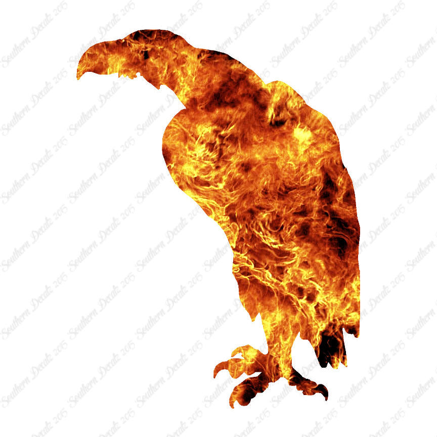 Vulture Eagle