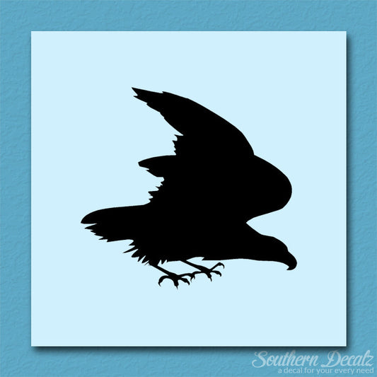 Eagle Falcon Bird Of Prey