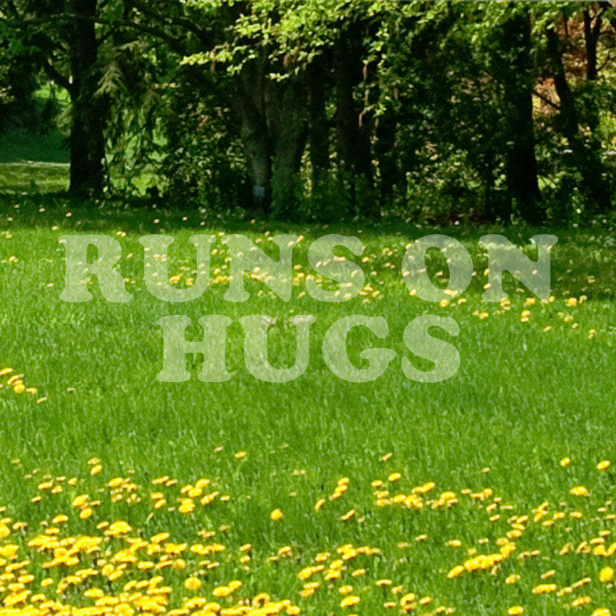 Runs On Hugs