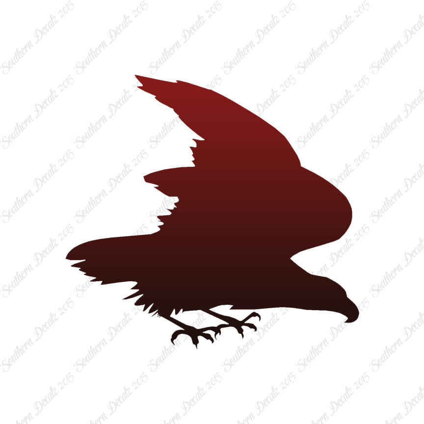 Eagle Falcon Bird Of Prey