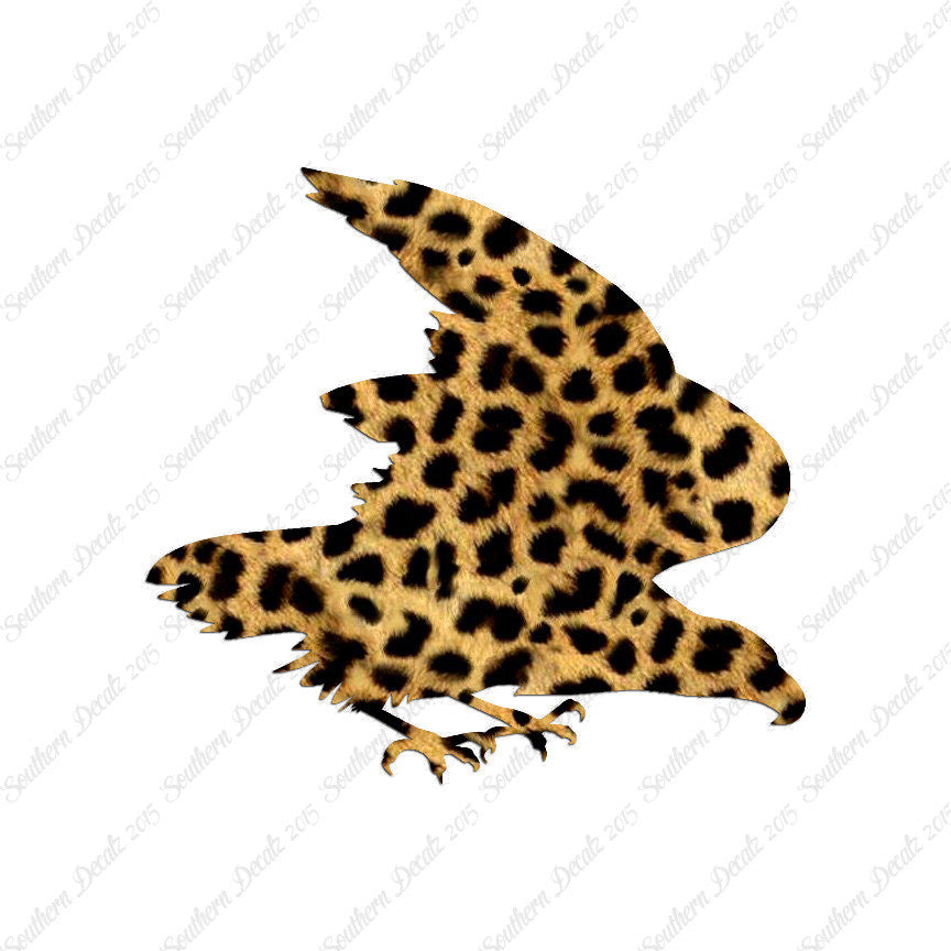 Eagle Falcon Bird Of Prey
