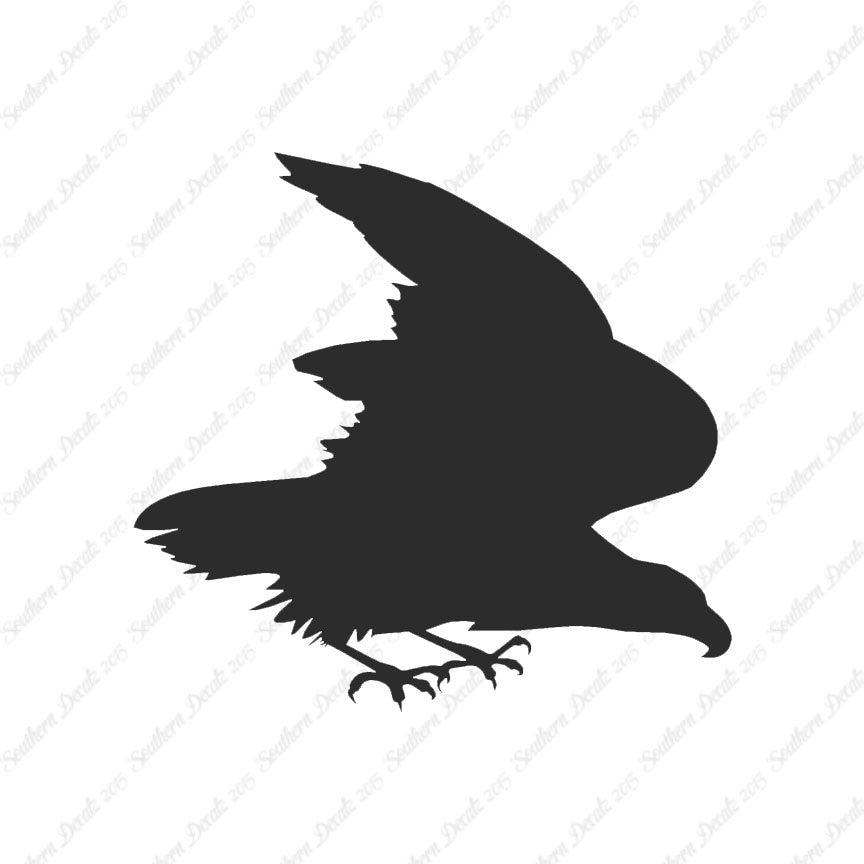Eagle Falcon Bird Of Prey