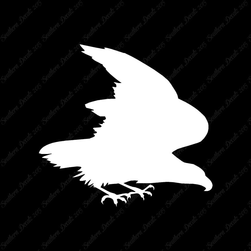Eagle Falcon Bird Of Prey
