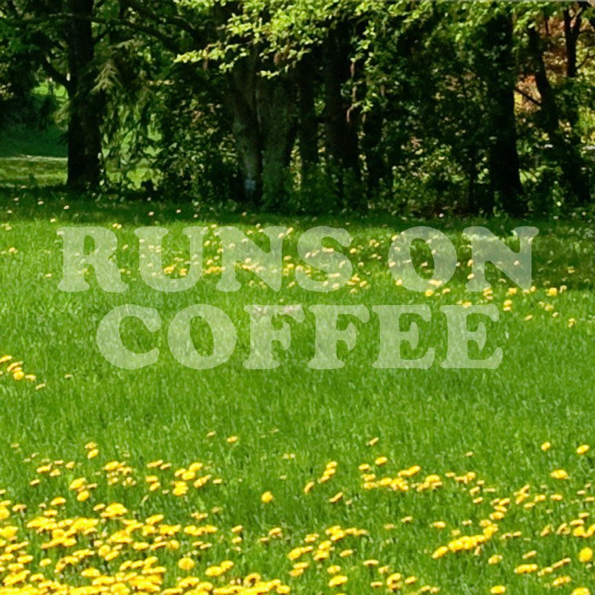 Runs On Coffee
