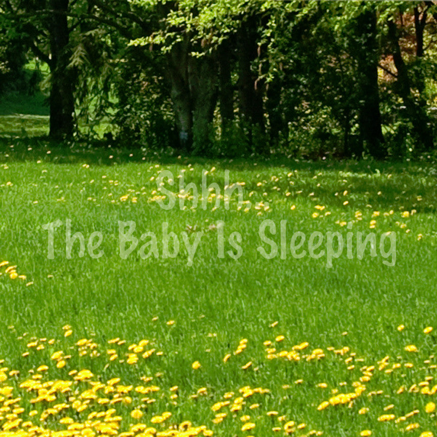 Shh Baby Sleeping