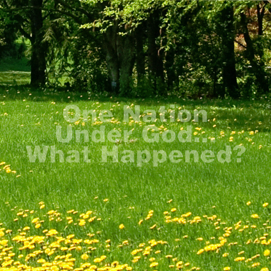 One Nation Under God What Happened