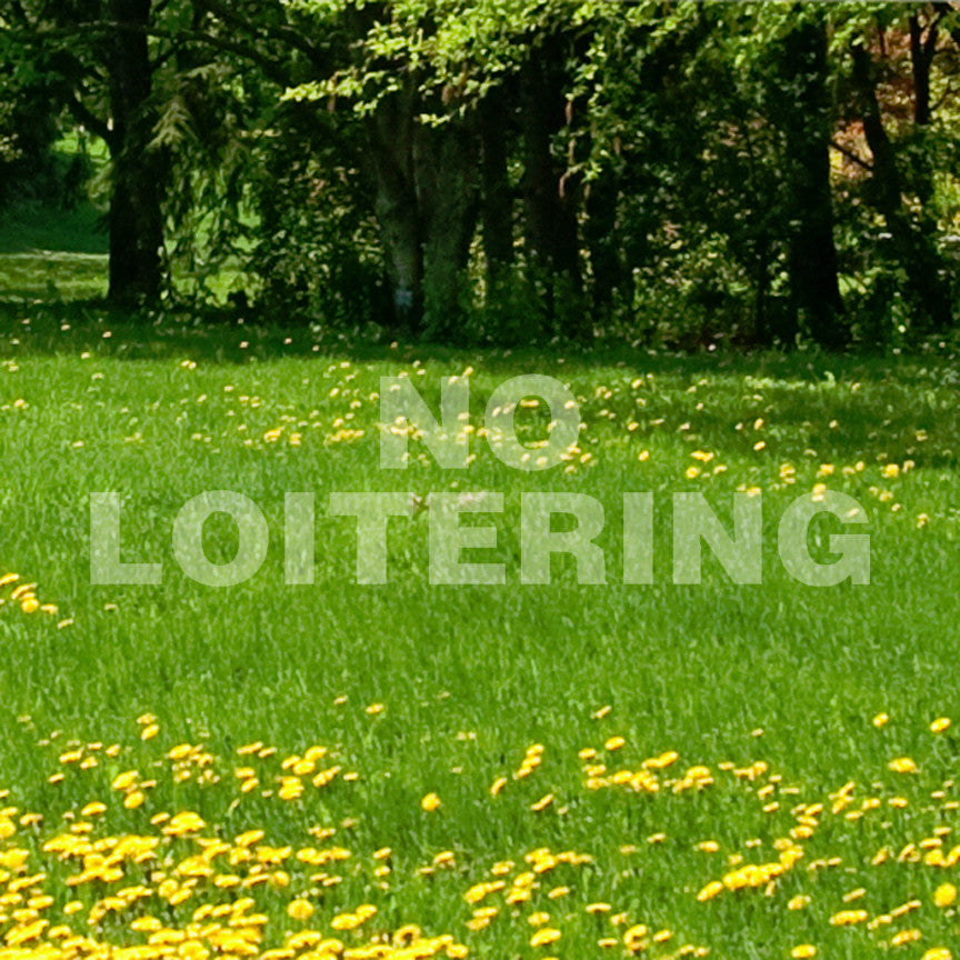 No Loitering