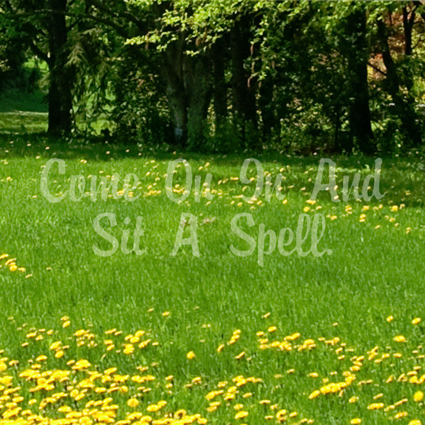 Come In Sit A Spell