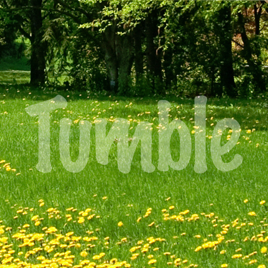 Tumble