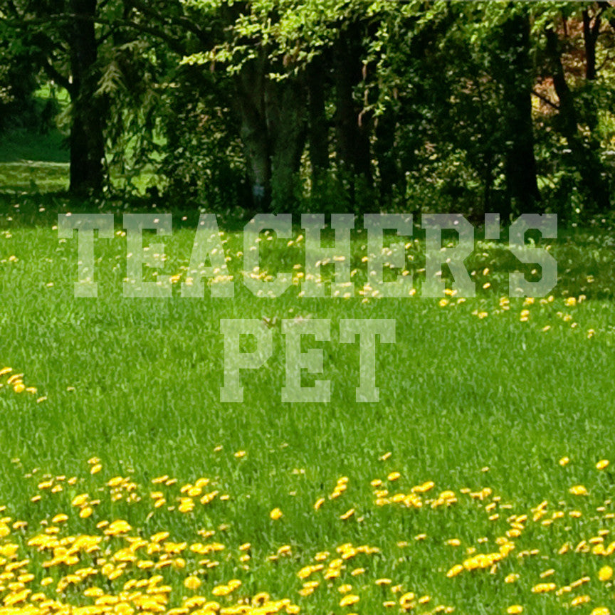 Teachers Pet