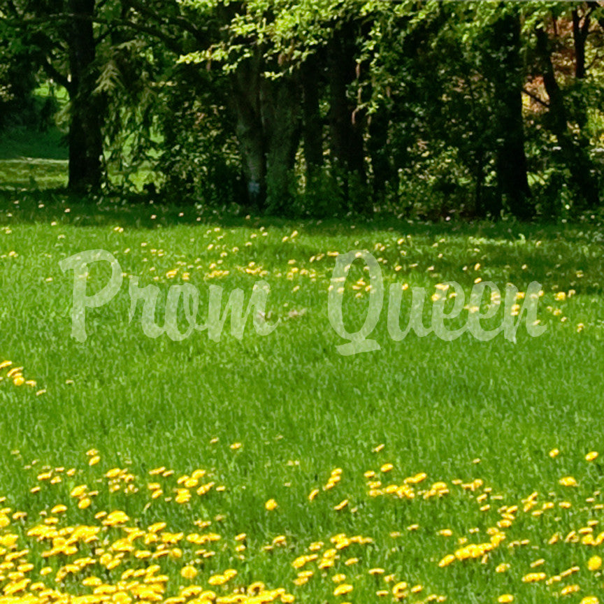 Prom Queen