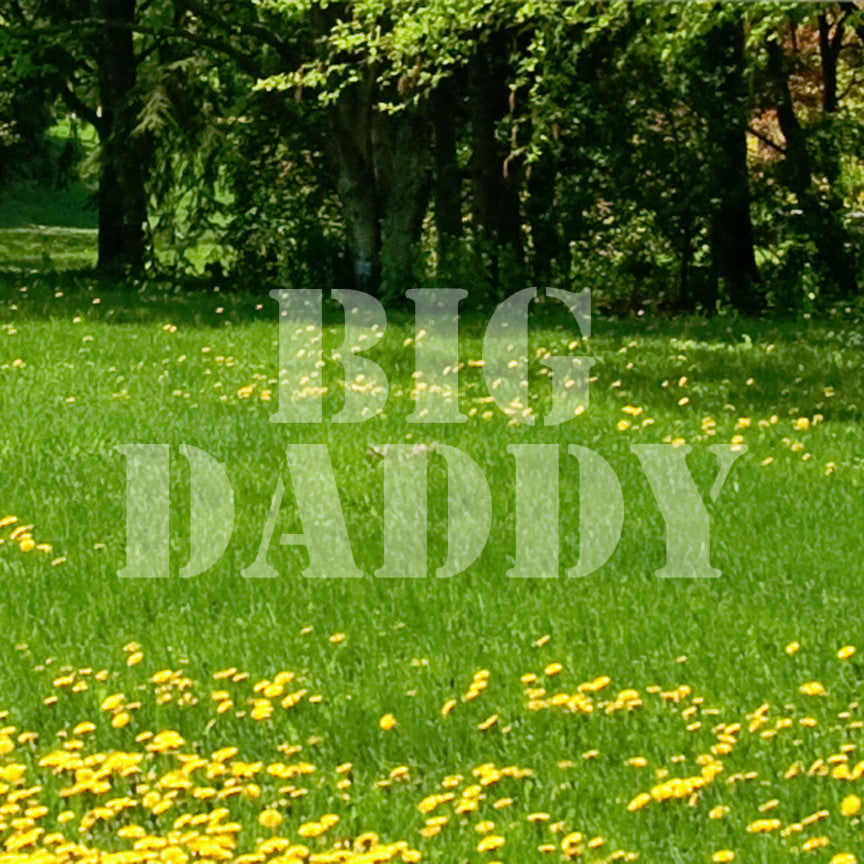 Big Daddy