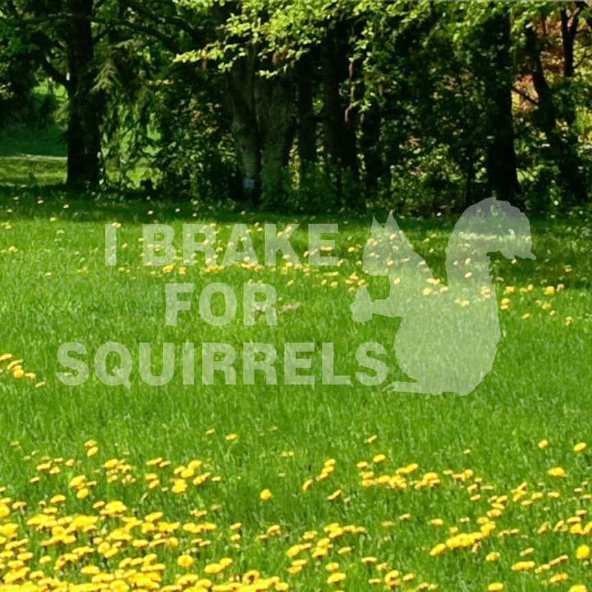 Brake For Squirrels