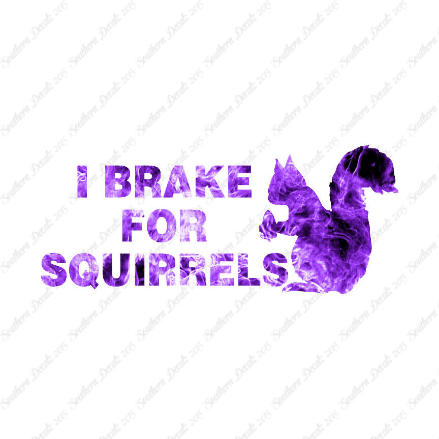 Brake For Squirrels