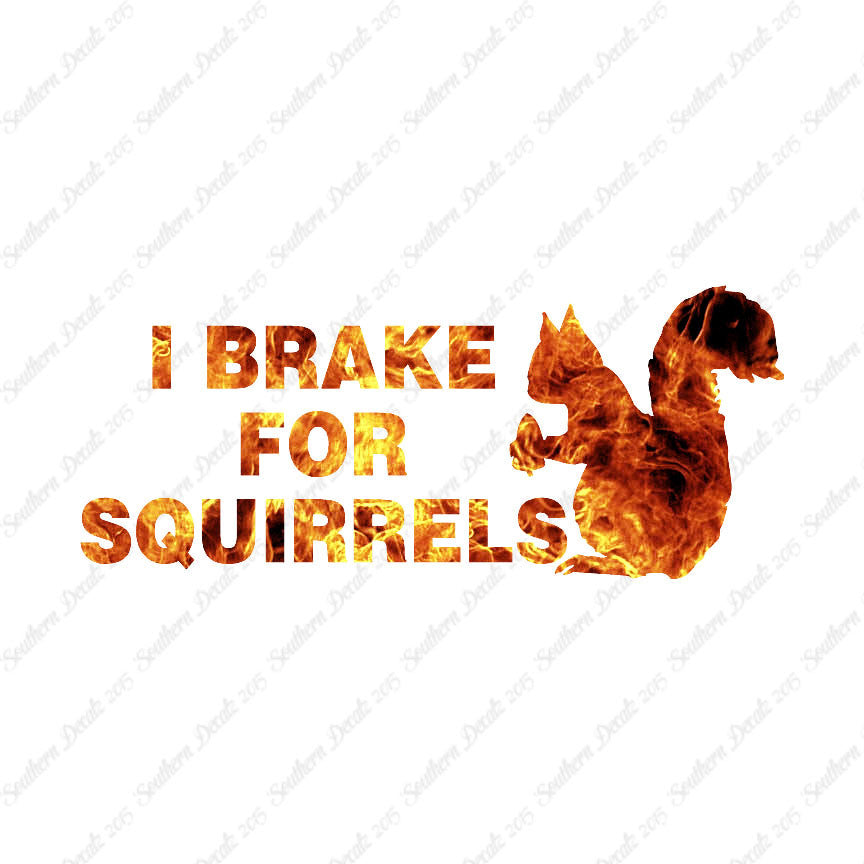Brake For Squirrels