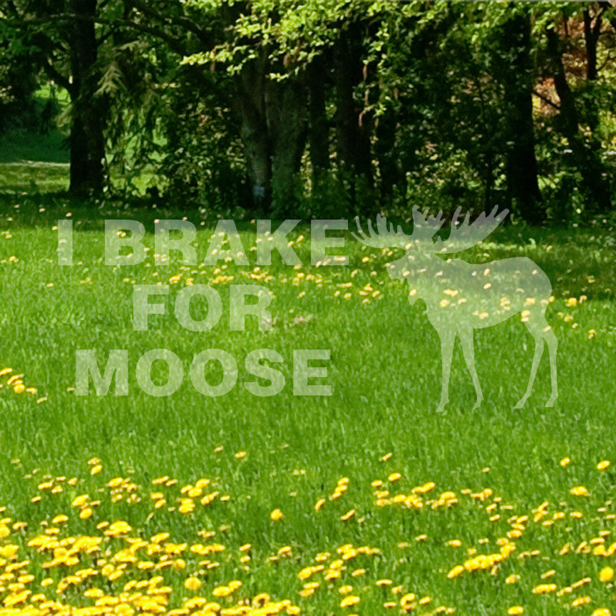 Brake For Moose