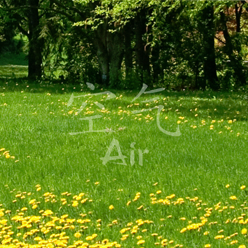 Chinese Symbols "Air"