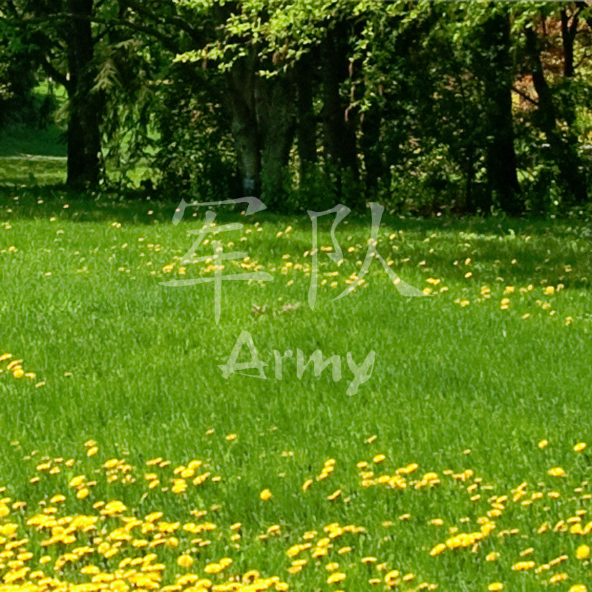 Chinese Symbols "Army"
